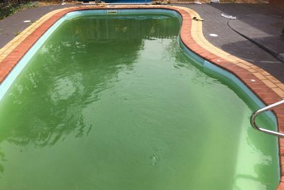Winter Green Pool